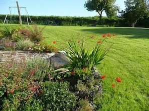 Steps leading to garden