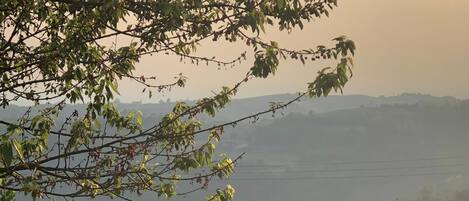 Garten terasse mit Blick auf den Weinbergen und Bergen
