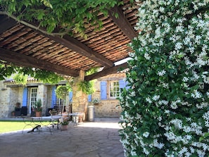 covered terrace lined with jasmin and wisteria