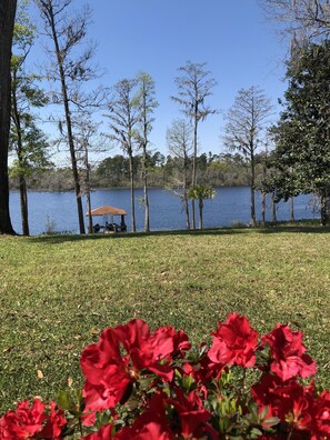 View in the Fall.