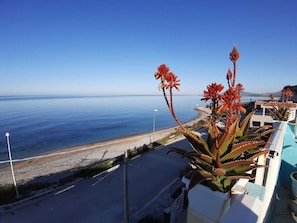 Beach/ocean view