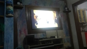 Television