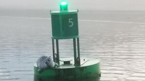 Divers