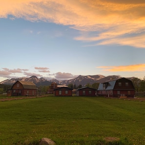 View of all cabins from back of property