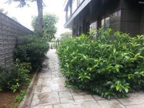View from room