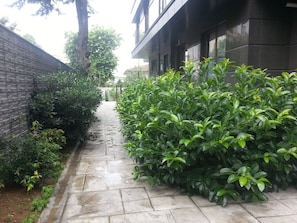 View from room