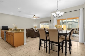 8963CatPalmRoad(4)