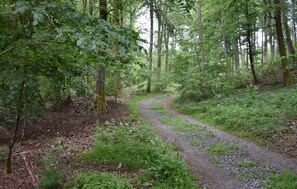 area