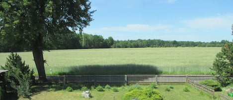 Blick aus dem Fenster 