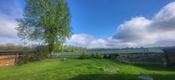 Blick auf den Garten