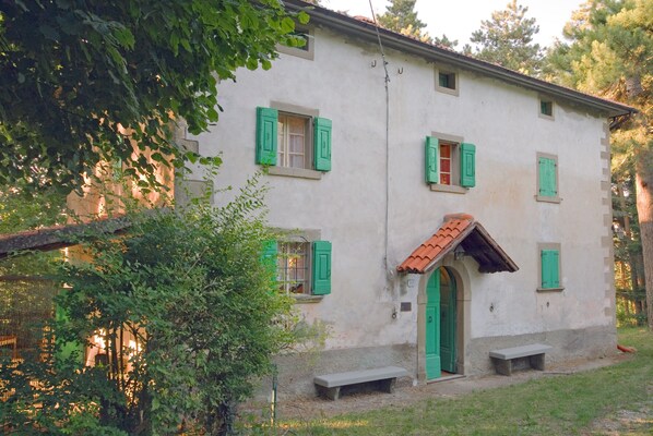 Exterior view from the driveway