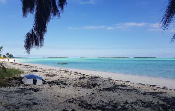 Rolleville Beach