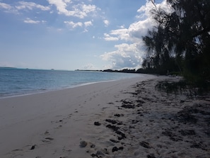 Beach looking NE