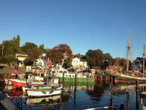 the harbor