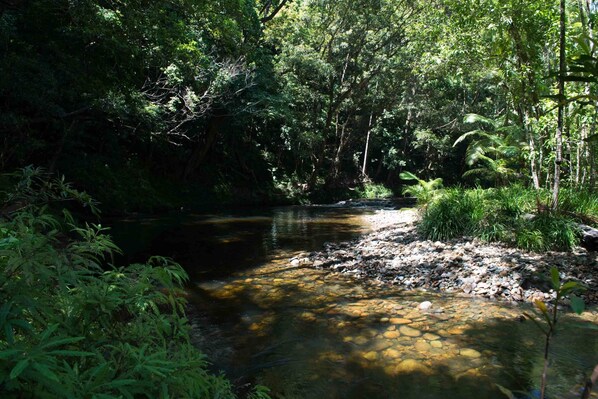 Natural pool