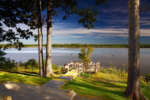 View from the Back Porch