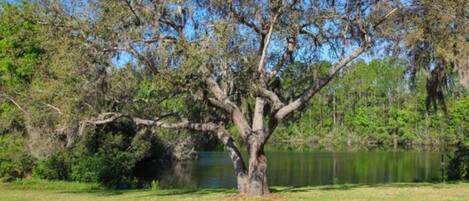 Parco della struttura