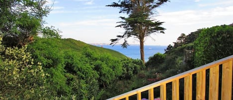 vue de la petite terrasse de la cuisine