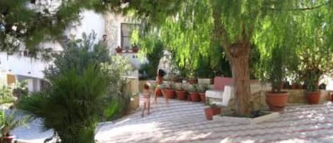 Garden, Park
