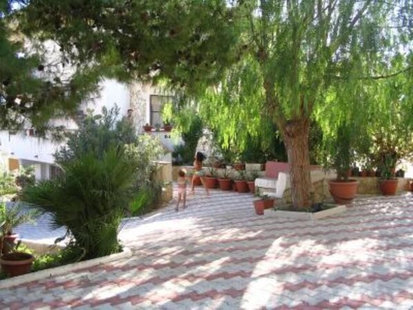 Garden, Park