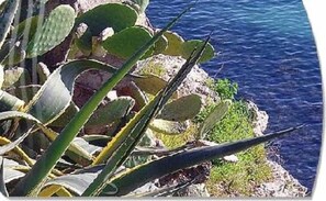 Panoramafoto