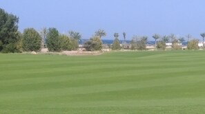 Golf Course & Ocean Views