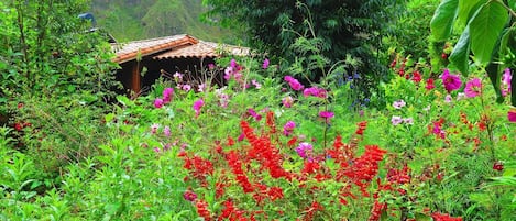 Jardines del alojamiento