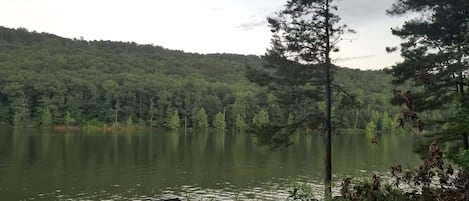 A view from our deck at our shoreline.