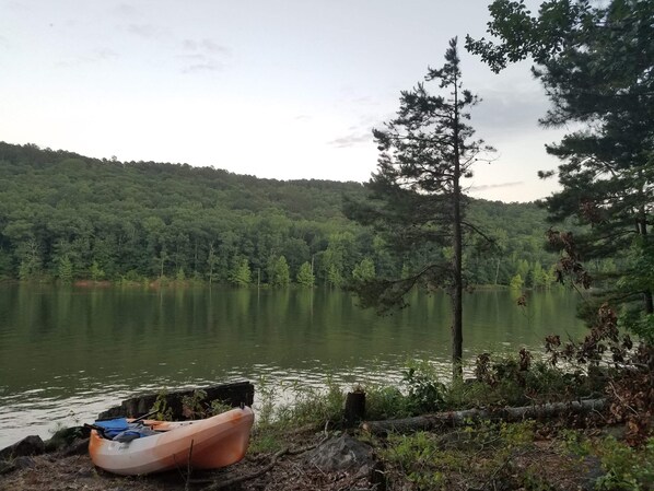 A view from our deck at our shoreline.