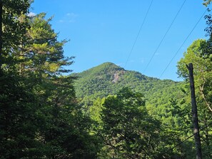 View from deck in summer