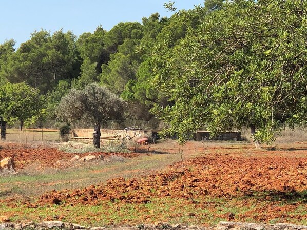 Parco della struttura
