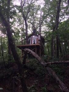 Ten Acre Treehouse  "Whitetail"  Sleeps 2-4