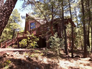 Majestic view of cabin front next door.