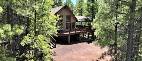 Cabin tucked back in the pines.