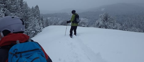 Sneeuw- en skisporten