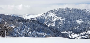 Wintersport/Ski