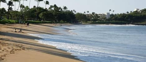 Beach in front of property