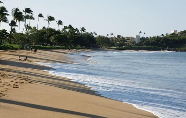 Beach in front of property