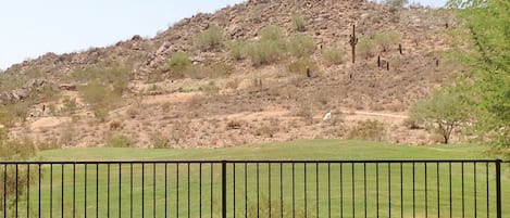 A view to enjoy of the putting green!