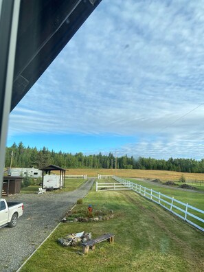 View of the front driveway