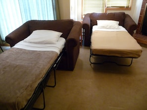 Love seats are twin-sized hideabeds; in addition to the Queen-sized Murphy bed