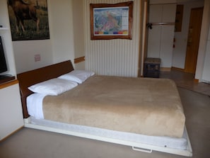 Queen Murphy bed; always-clean, fresh bedding, clean pillowcases, plush blankets