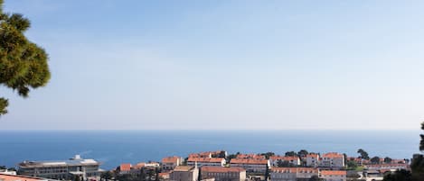 Vue sur la plage/l’océan