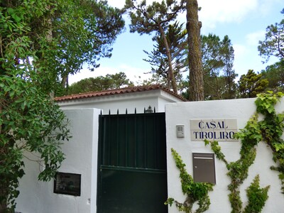 Picture of villa