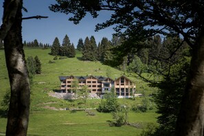 Black Forest Lodge, (Feldberg), LHS 05147