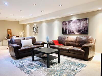 Silver Birch Suite - Professionally designed Guest Suite