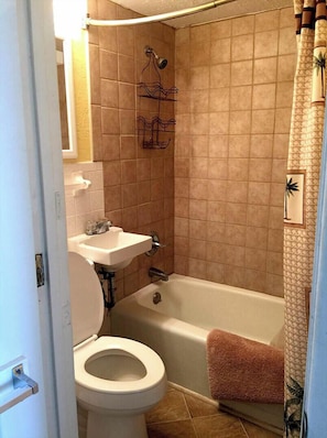 Very Small Bathroom but it is all there!