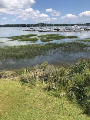 Our front yard at high tide