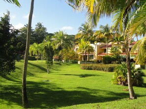 Spacious backyard and well-manicured lawns  scattered with palm trees