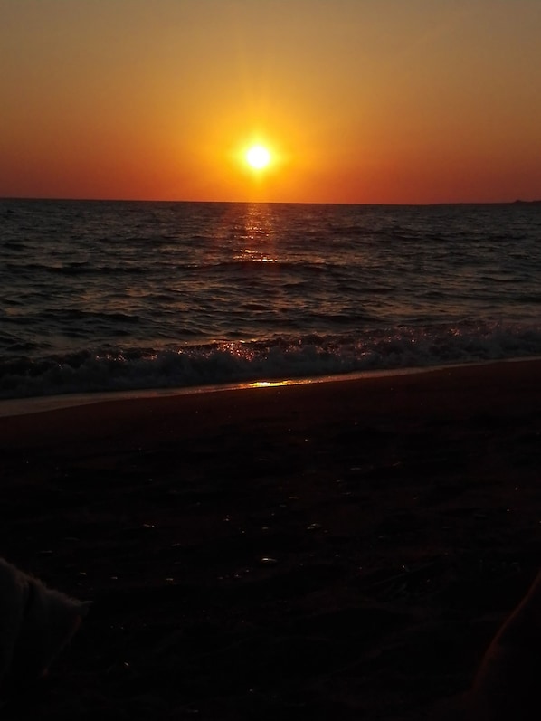Ranta